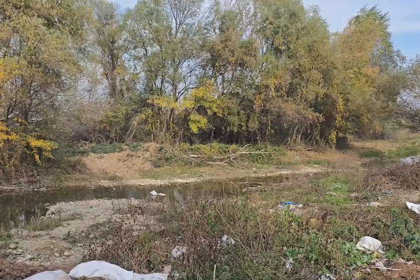 Gürcistan’da Türk vatandaşı ormanlık alanda ölü bulundu