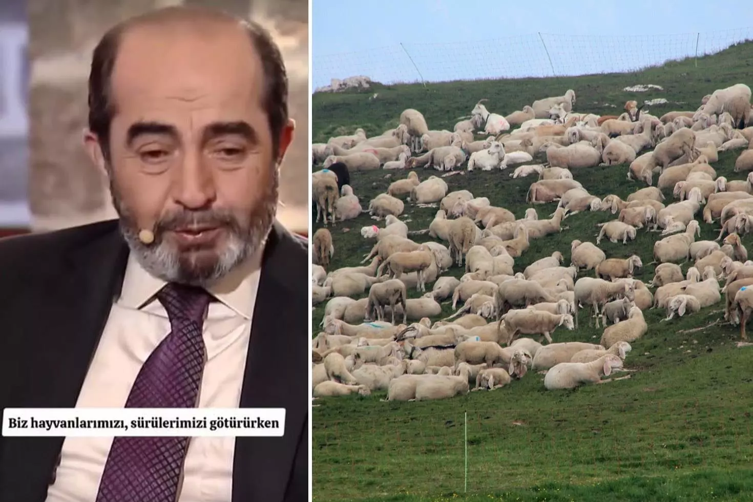 Şehit mezarının yeri, koyun sürüsünün garip davranışıyla fark edildi: O alanı kazınca...