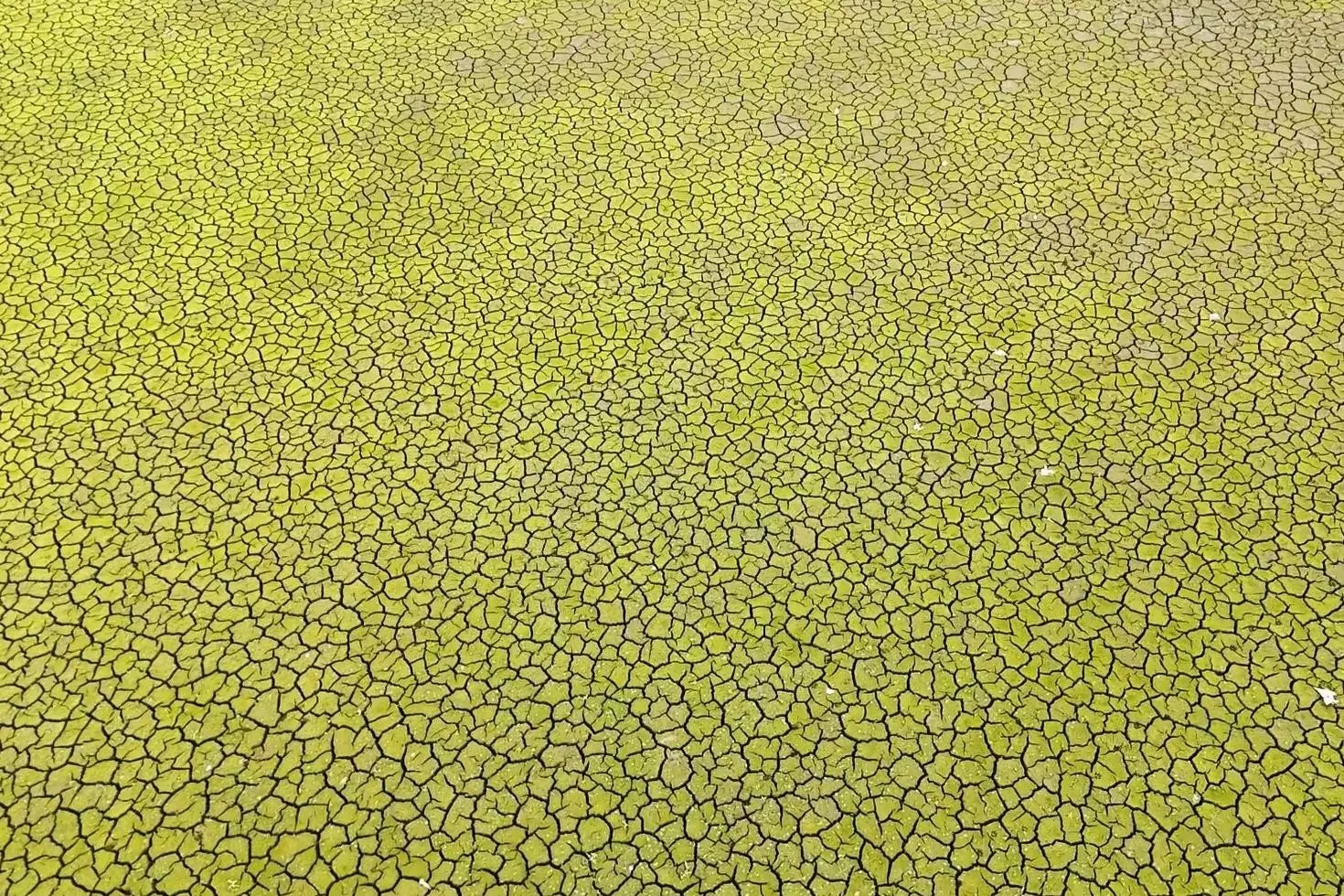 İstanbul için kıyamet senaryosu: Bu şekilde yaza girersek felaket olur