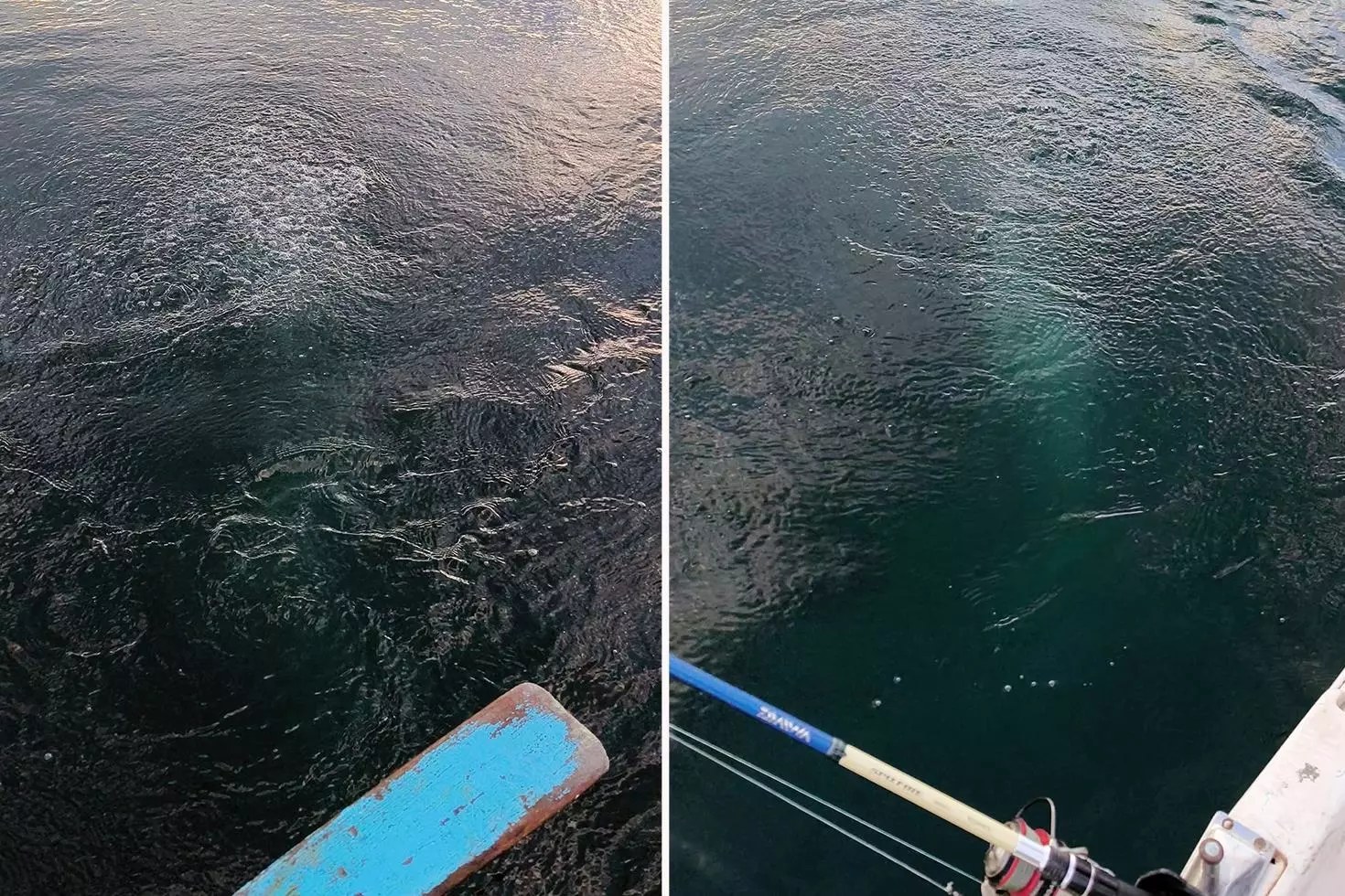 Bir şehrimiz, sudaki esrarengiz görüntüyü konuşuyor: Bayağı kaynıyor