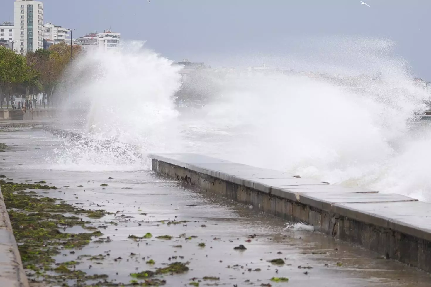 Marmara’da fırtına alarmı BUDO seferleri iptal edildi