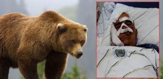 Neye uğradığını şaşırdı! Pençe darbeleri aldı, elmacık kemiği koptu