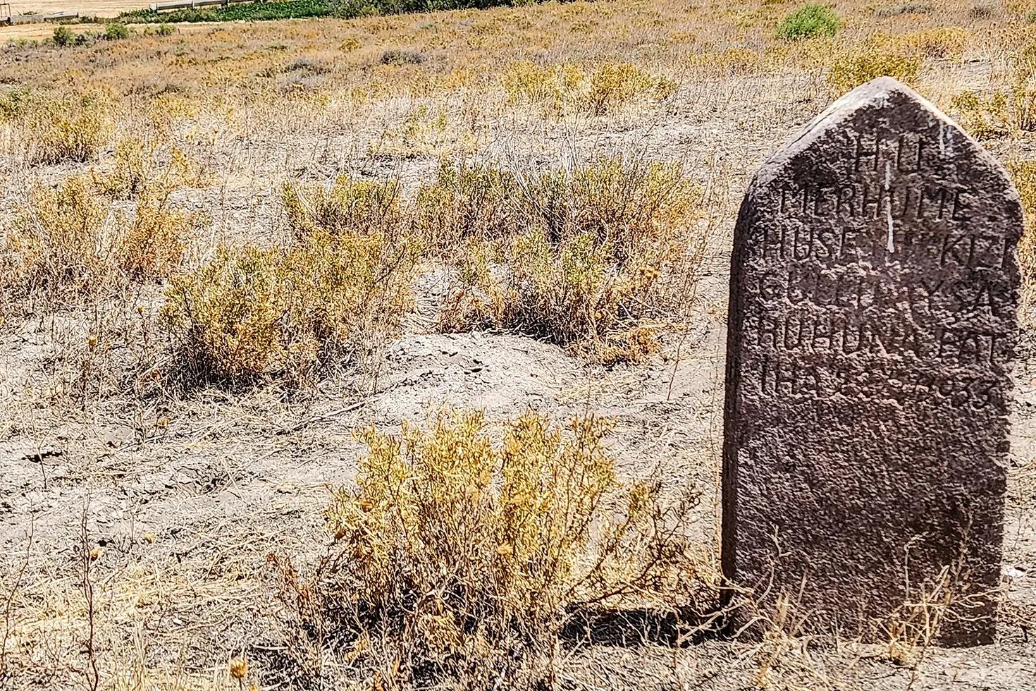 Yalnız mezarın sırrı çözüldü Herkesin dışladığı Güllü Ayşa’nın dramı