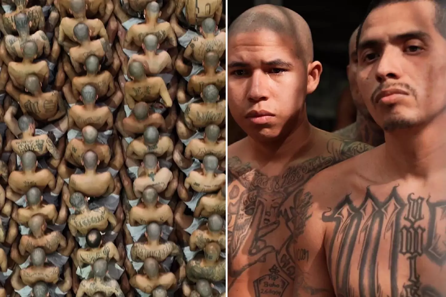 Nayib Bukele’den cezaevi denetimi ve suçla mücadele mesajı