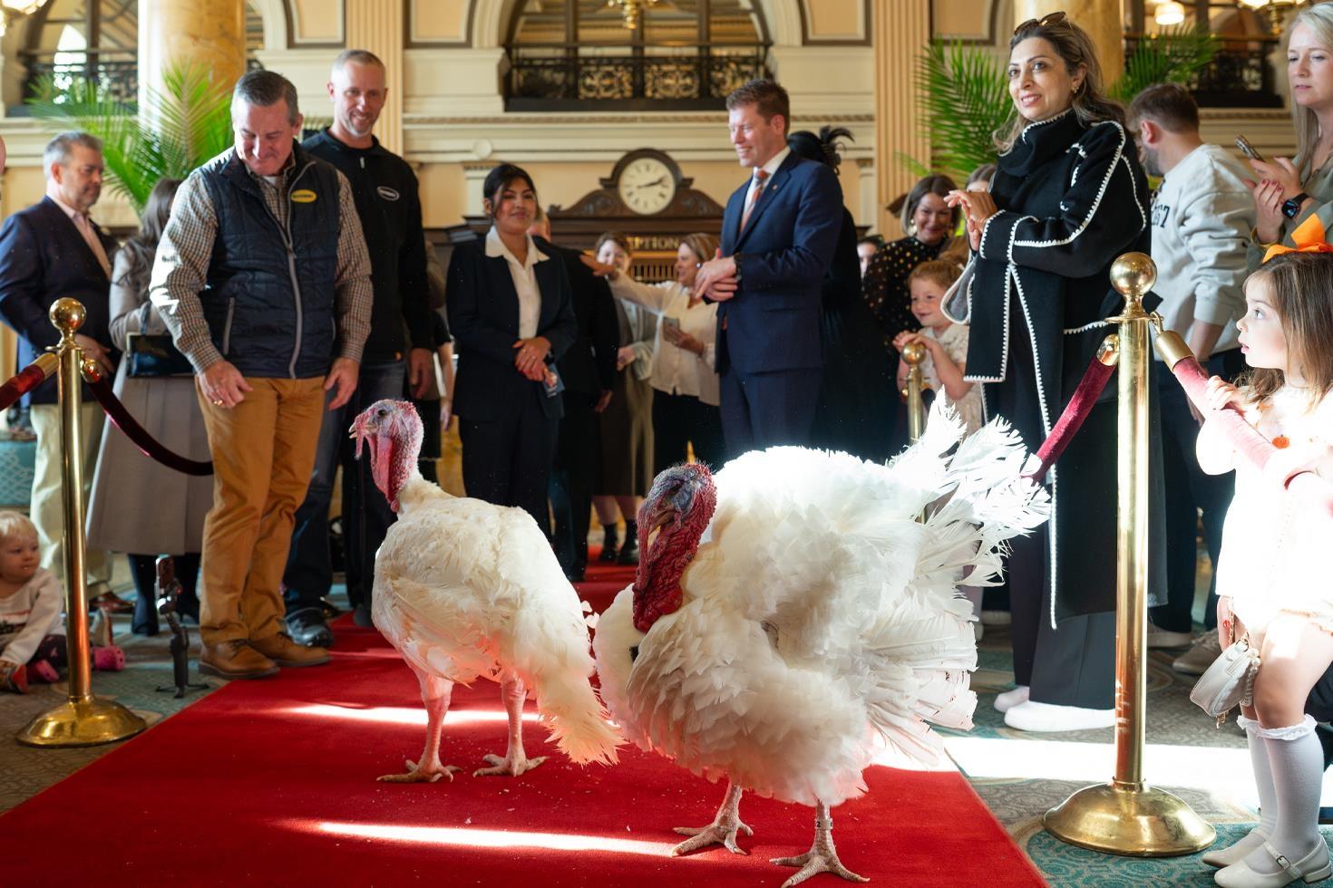 Trump’tan Şükran Günü geleneği: 2 hindiyi affetti