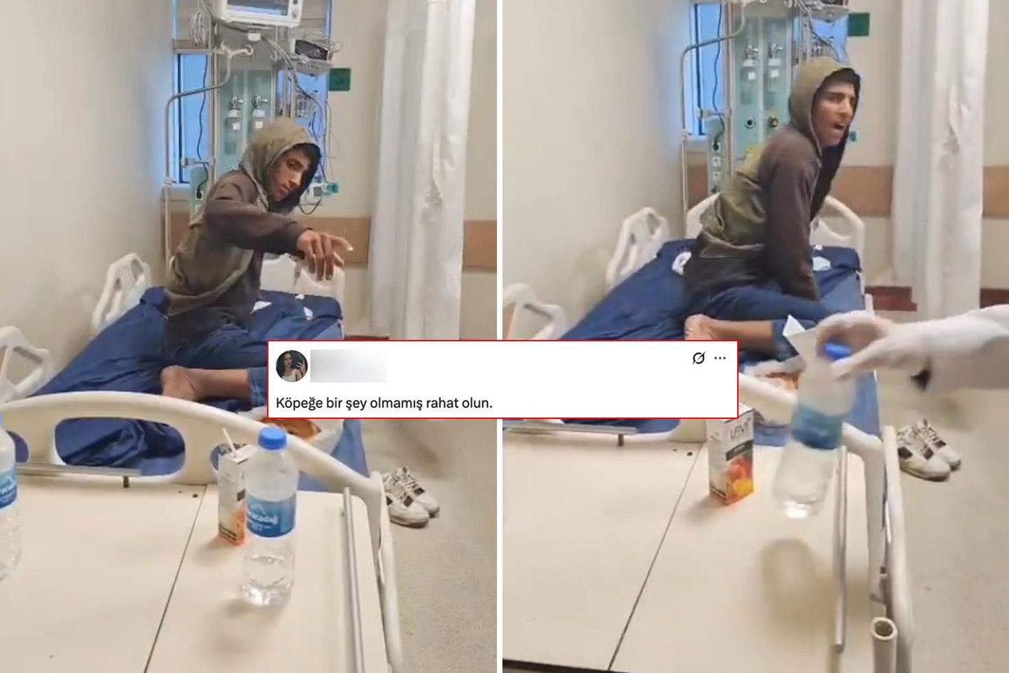 Kuduzdan hayatını kaybeden genç için yapılan yoruma tepki yağıyor