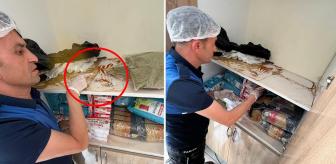 Aynı ilçede bir rezil görüntü daha! Dolaplar resmen zehir saçıyor