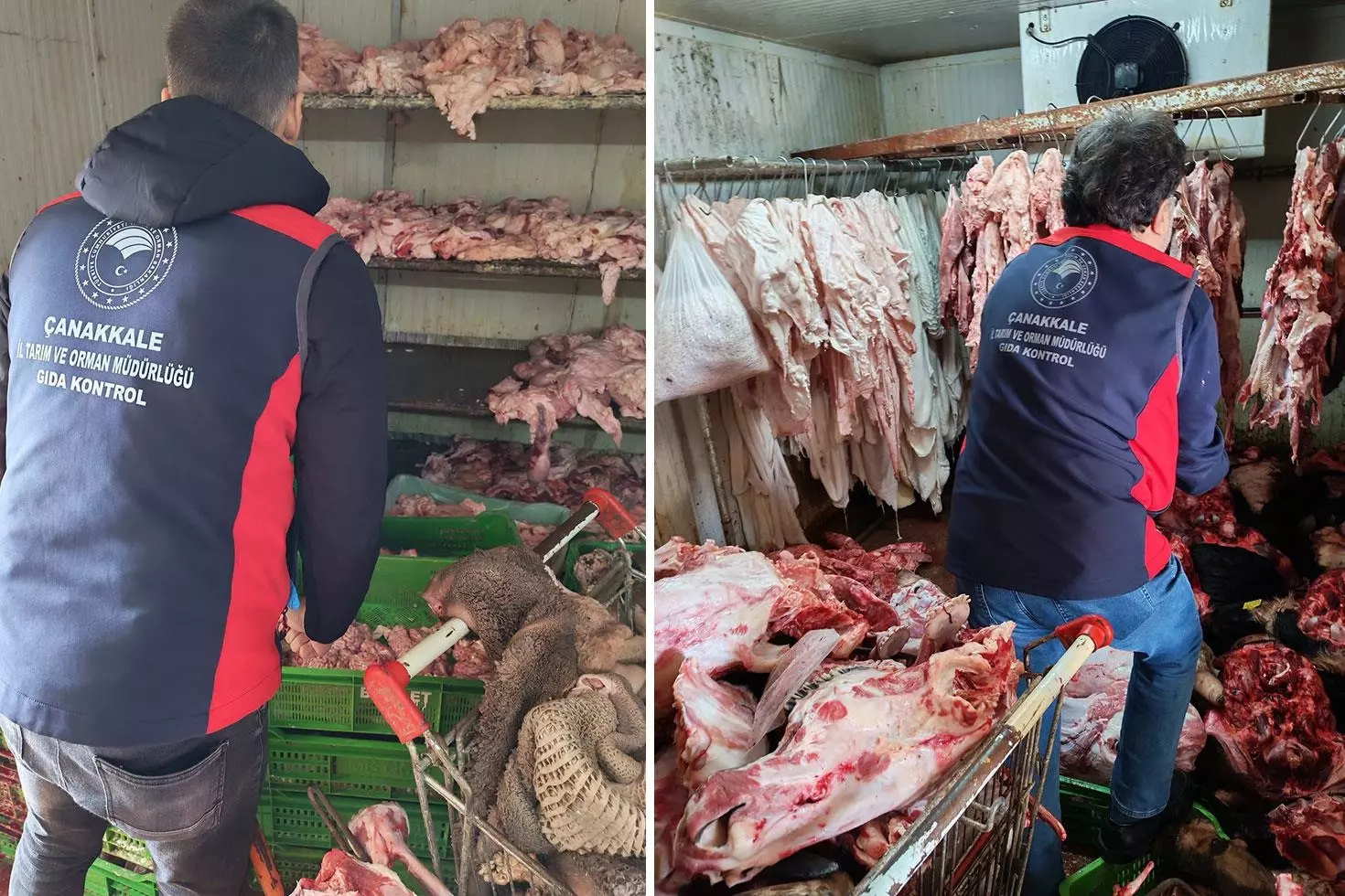 Mide bulandıran görüntüler İhbar edilmeseler hepsini halka yedireceklerdi