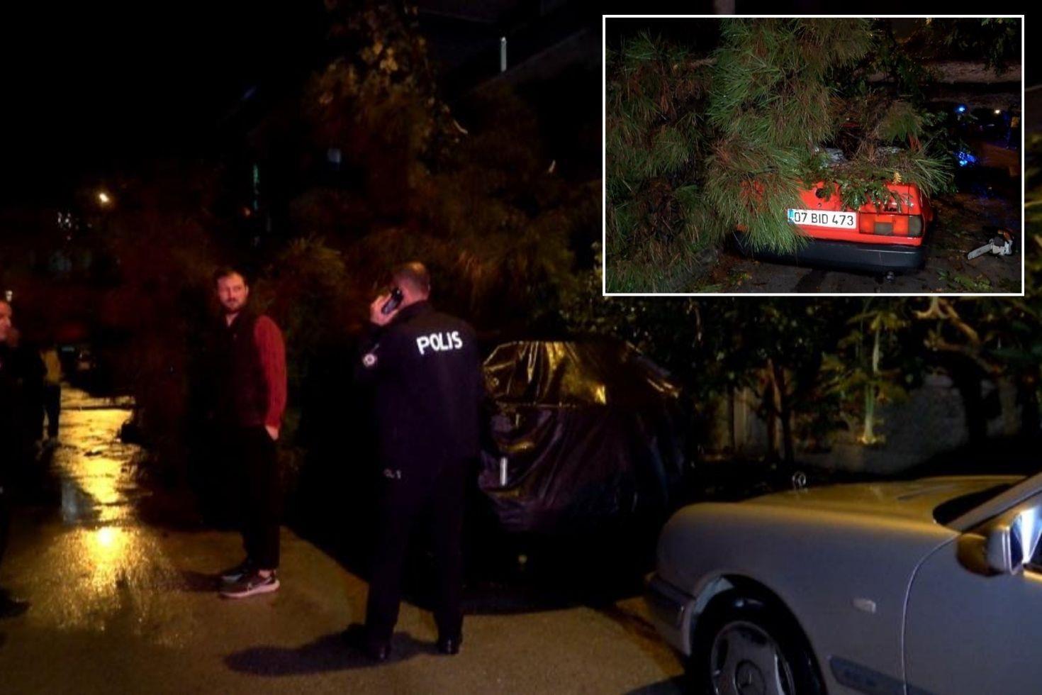 Antalya’da şiddetli rüzgar ağaç devirdi