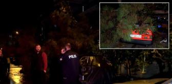 Şiddetli rüzgar ağaç devirdi!