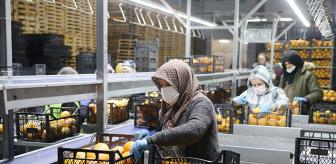 Türkiye'nin gıda devi iflas bayrağını çekti