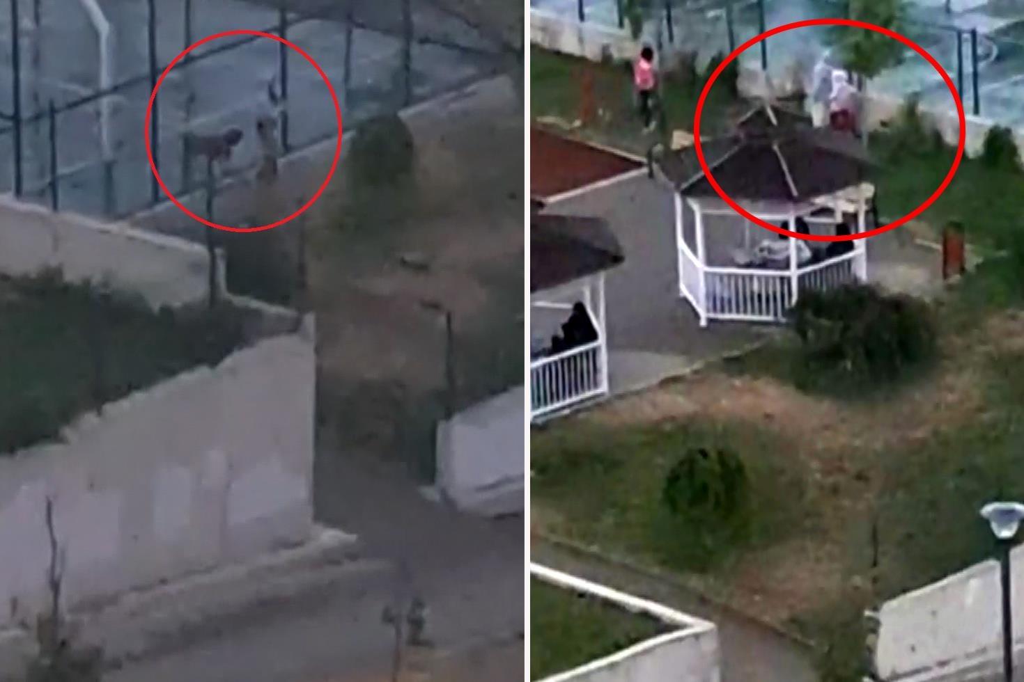 2 kardeşe saldıran pitbulun sahibi tutuklandı Köpeği tasmasız gezdirdiği anlar kamerada