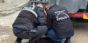 Kanalizasyon kapağını açan işçiler, kan donduran görüntüyle karşılaştı