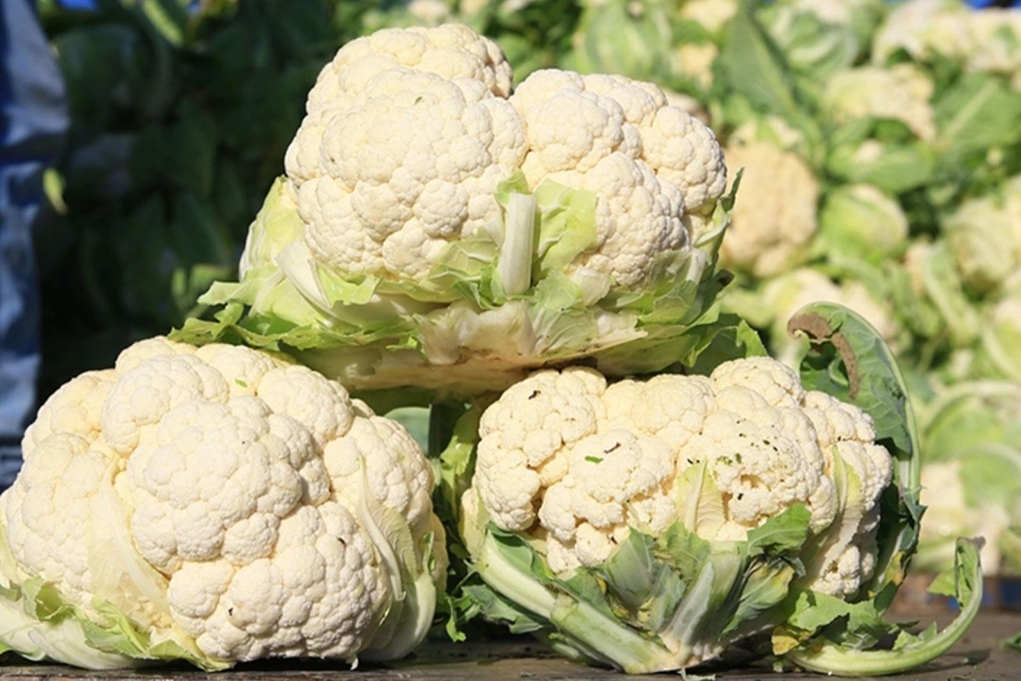 Bilet fiyatları artarken, karnabahar dibi gördü