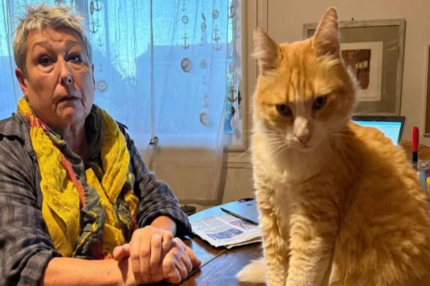 Dünyanın ilk mahpus kedisi Komşusunu canından bezdirdi, hapsi yedi