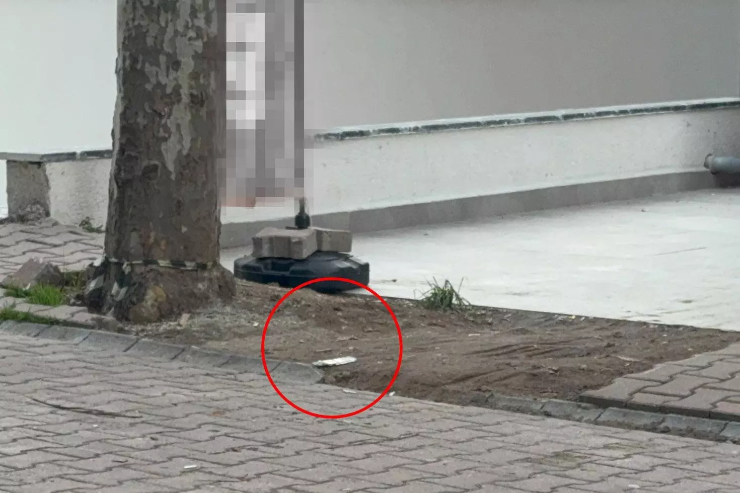 Çöpe atmak için yerden aldığı kargo poşetinin içinden 60 bin dolar çıktı