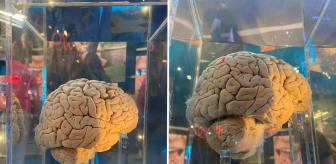 Ne para ne de sperm! Bu banka bambaşka bir şey depoluyor