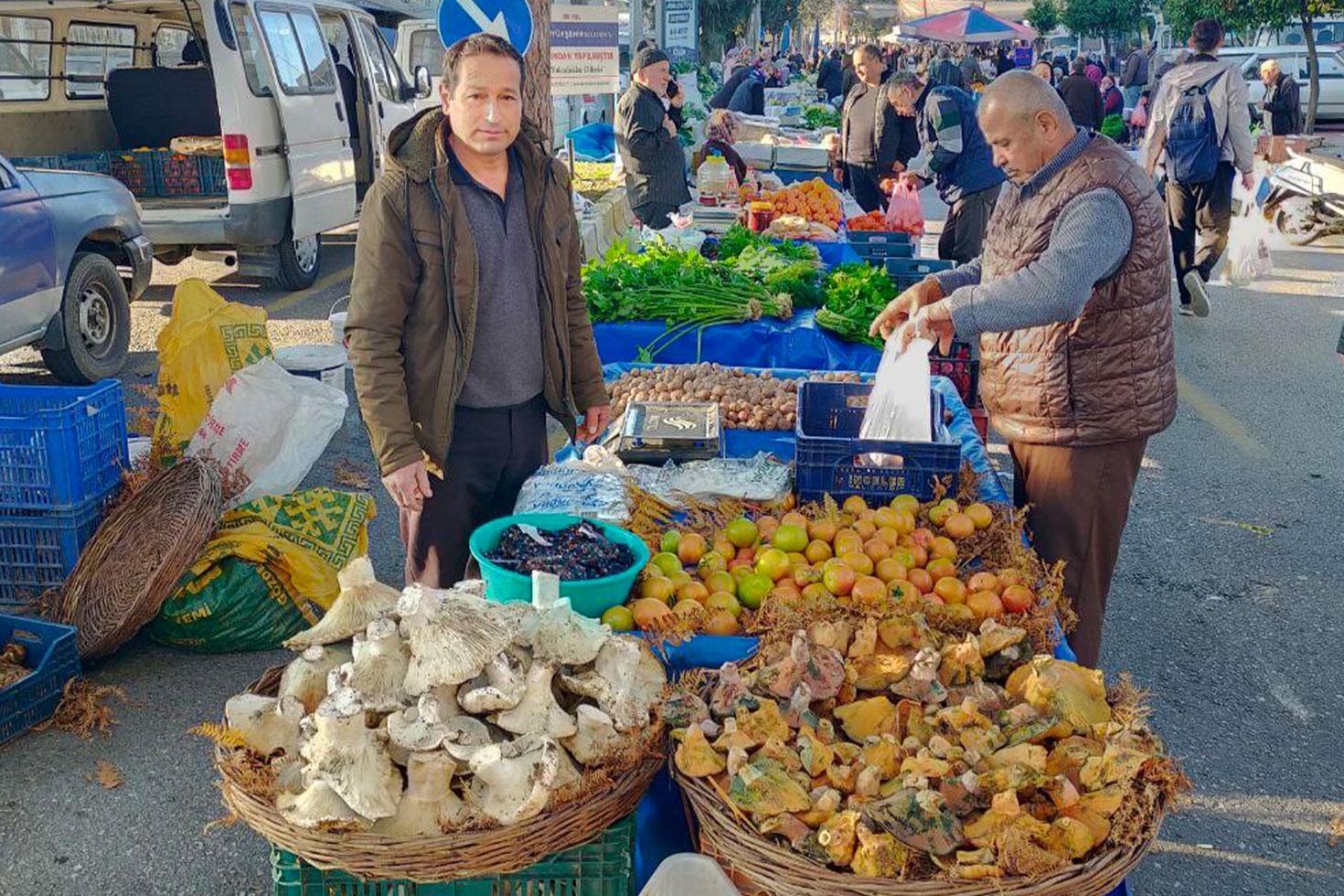 Bin 800 rakımlı yayladan toplayıp getiriyor, gören almadan geçmiyor