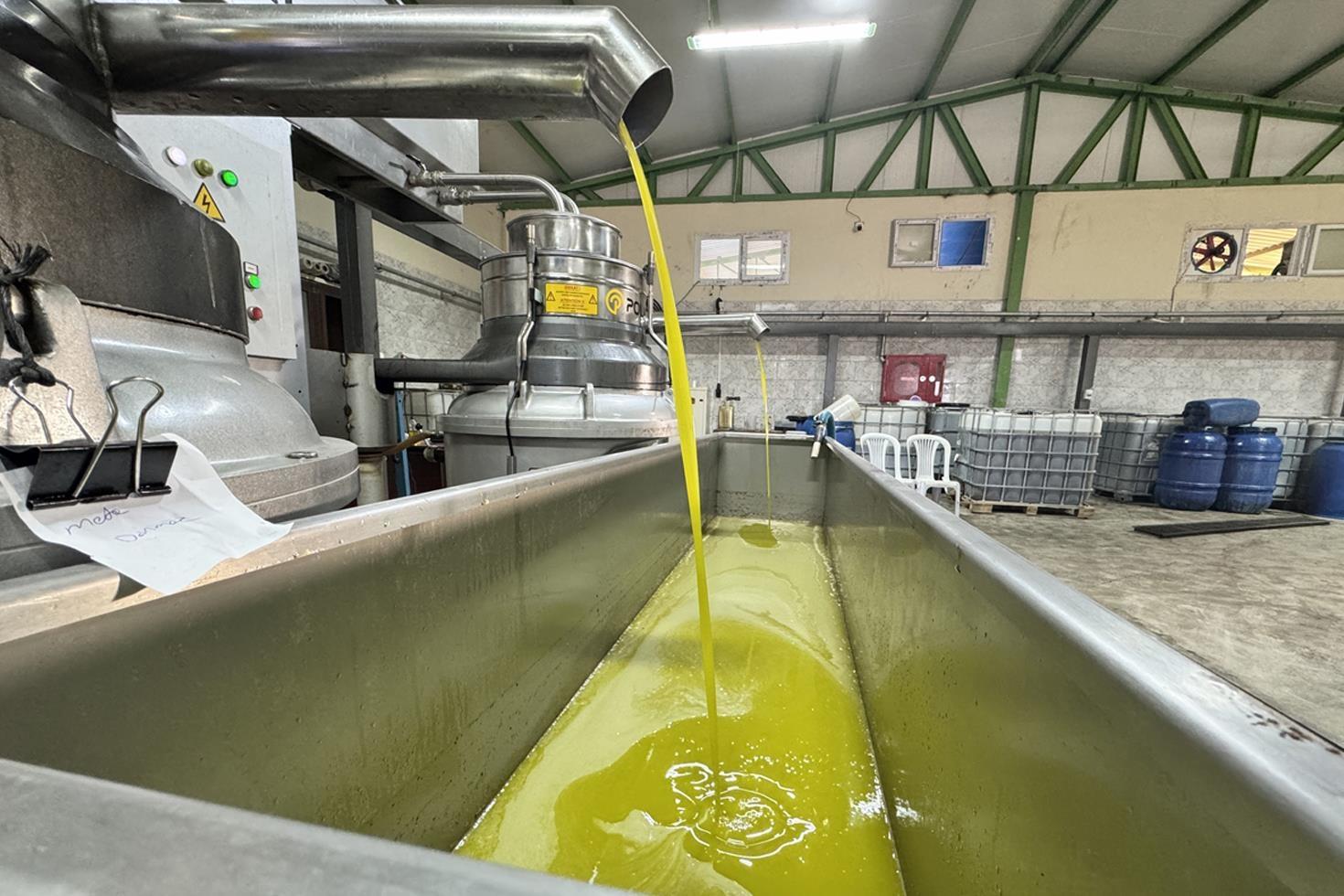 Muhtar fabrika kurup tüm mahalleyi işe aldı Suudi Arabistan’a bile ihraç ediyor