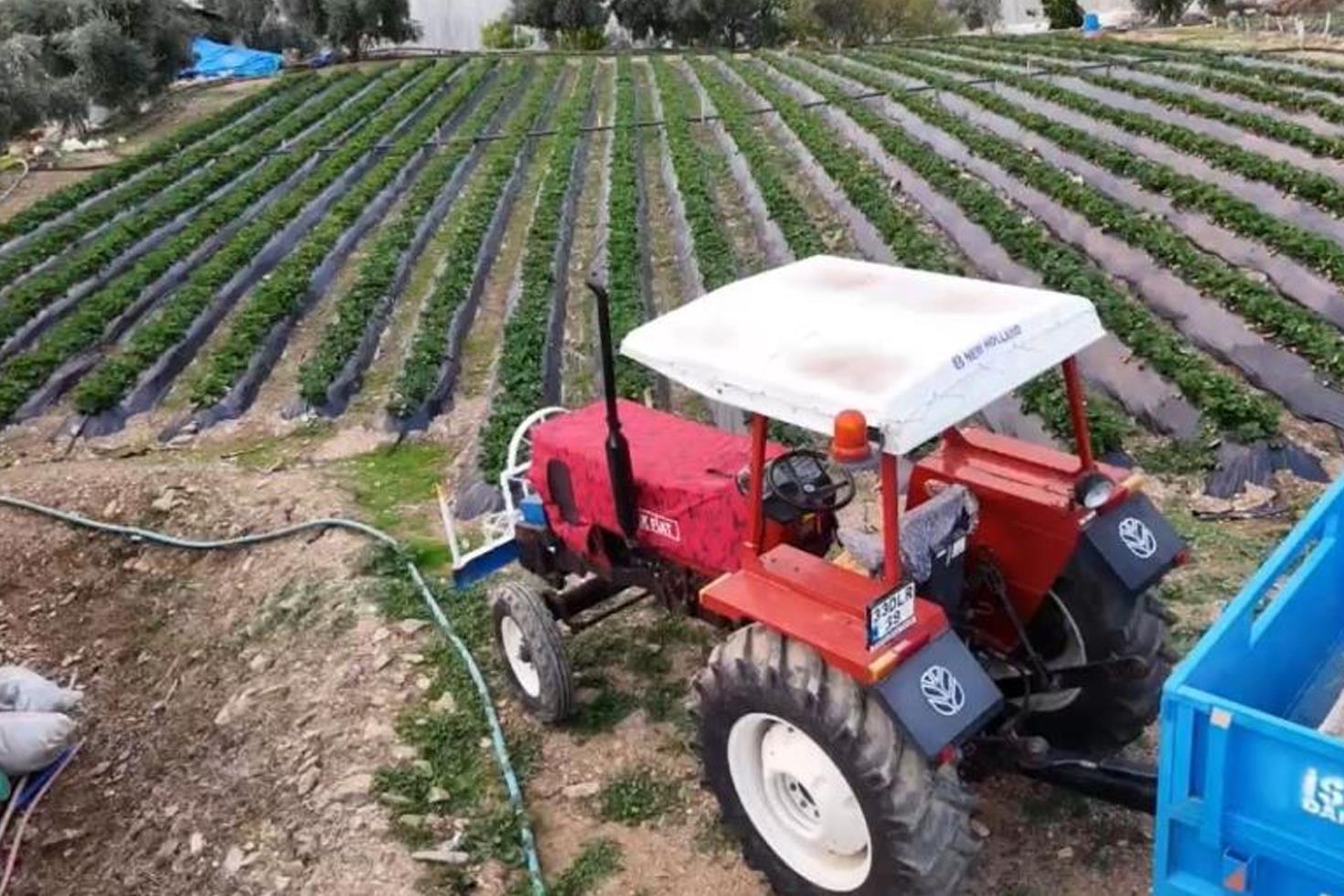 Yaz meyvesinde kış hasadı başladı Kilosu 130 TL’den satılıyor