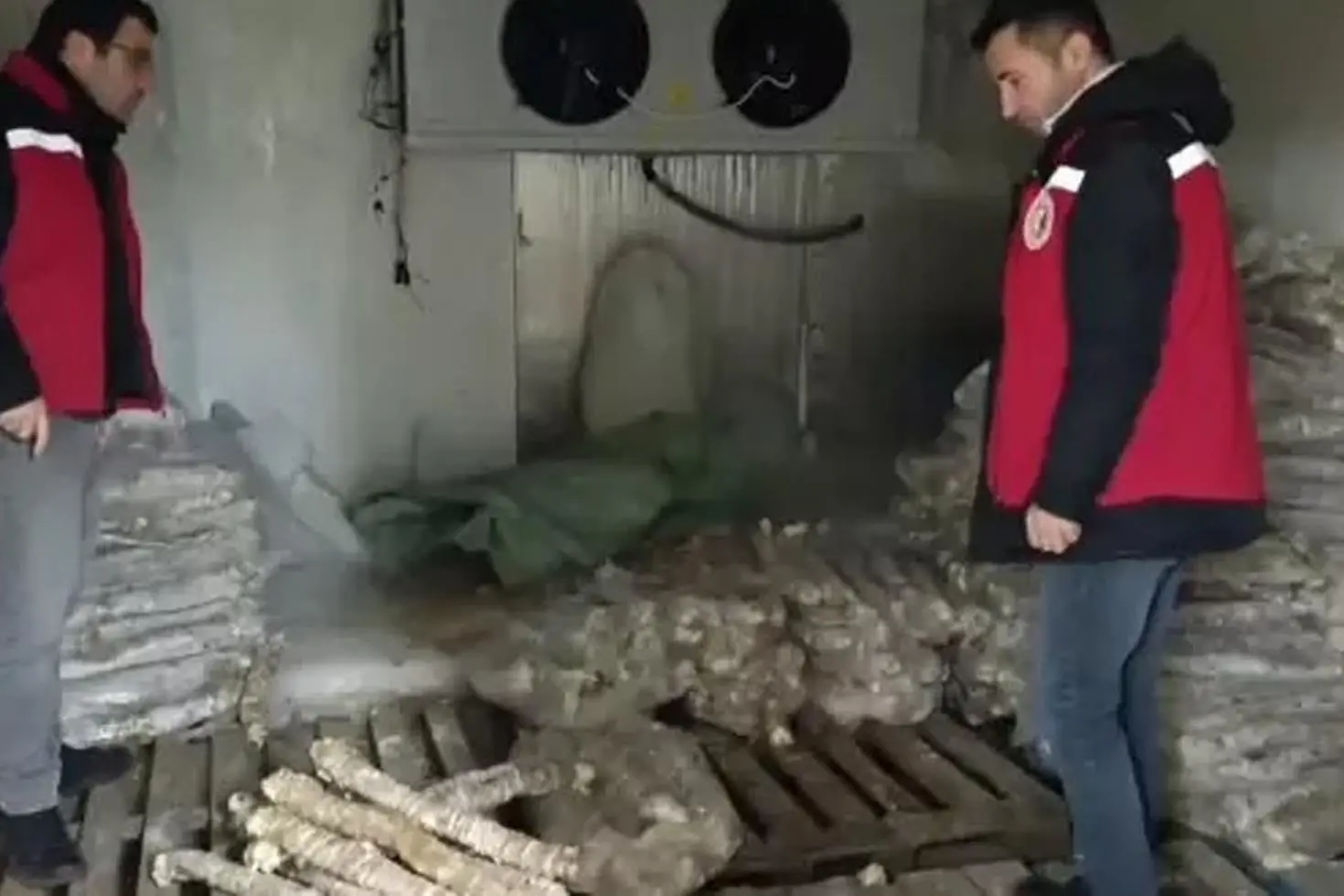 Manisa’da 4 milyon liralık bozuk kokoreç imha edildi