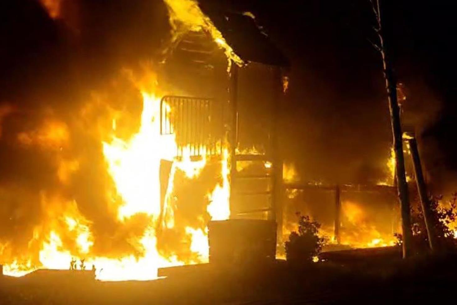 Parkı küle çeviren çocuk: Isınmak için ateş yaktık