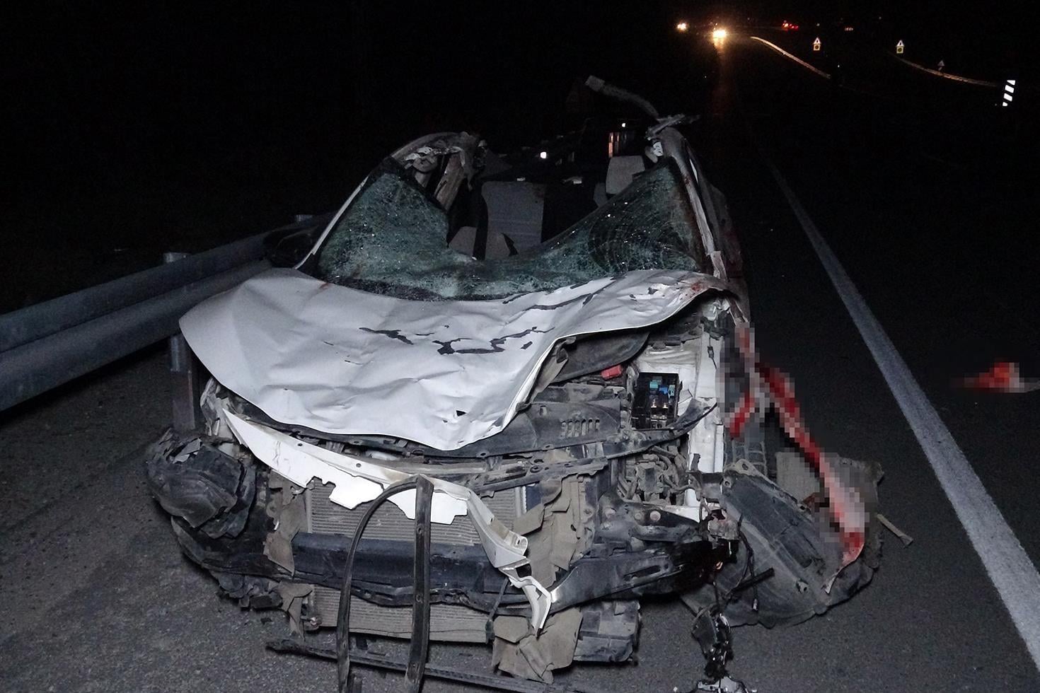 Malatya’da feci olay: Malatya’da feci olay: Milyonluk taylar karayolunda telef oldu taylar karayolunda telef oldu