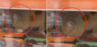 Zincir markette mide bulandıran skandal! Gören hemen kayda girdi