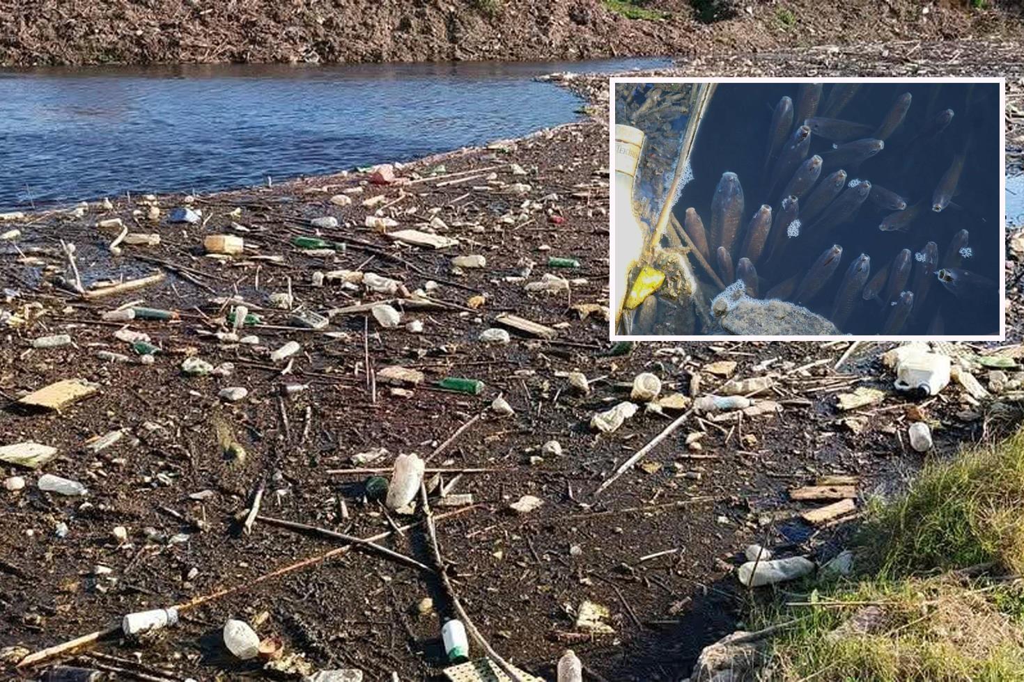 Büyük Menderes Nehri alarm veriyor, simsiyah oldu