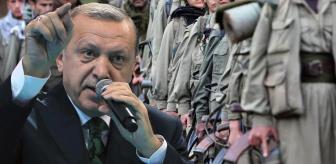 Erdoğan talimatı verdi! AK Parti'den Terörsüz Türkiye hamlesi