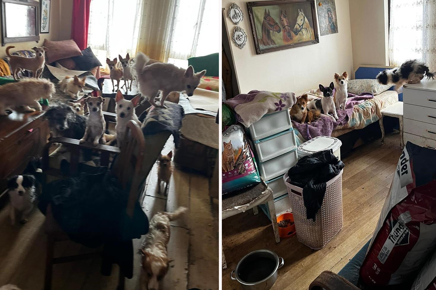 Kapı açılınca karşılaşılan manzara şoke etti