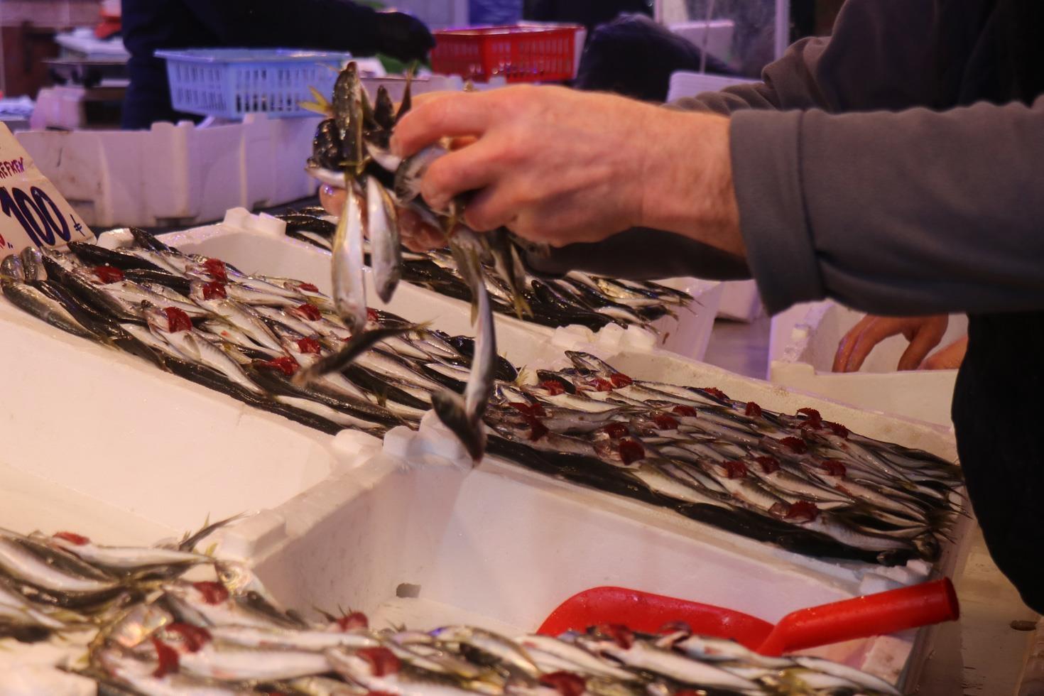 Hamsinin yokluğunu kapattı, fiyatı dibi gördü Tezgahın en ucuzu