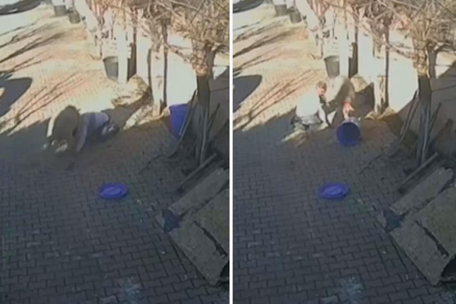 Silivri’de sahibine dakikalarca saldıran koç kamerada