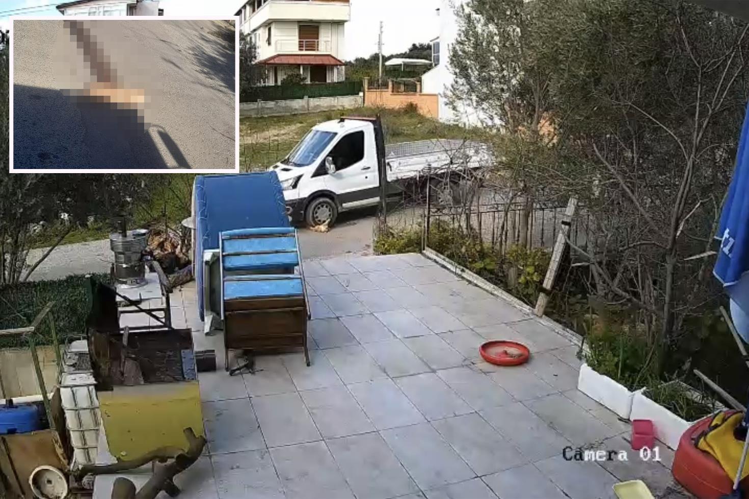 Yol kenarında yatan köpeği ezdi, arkasına bakmadan gitti