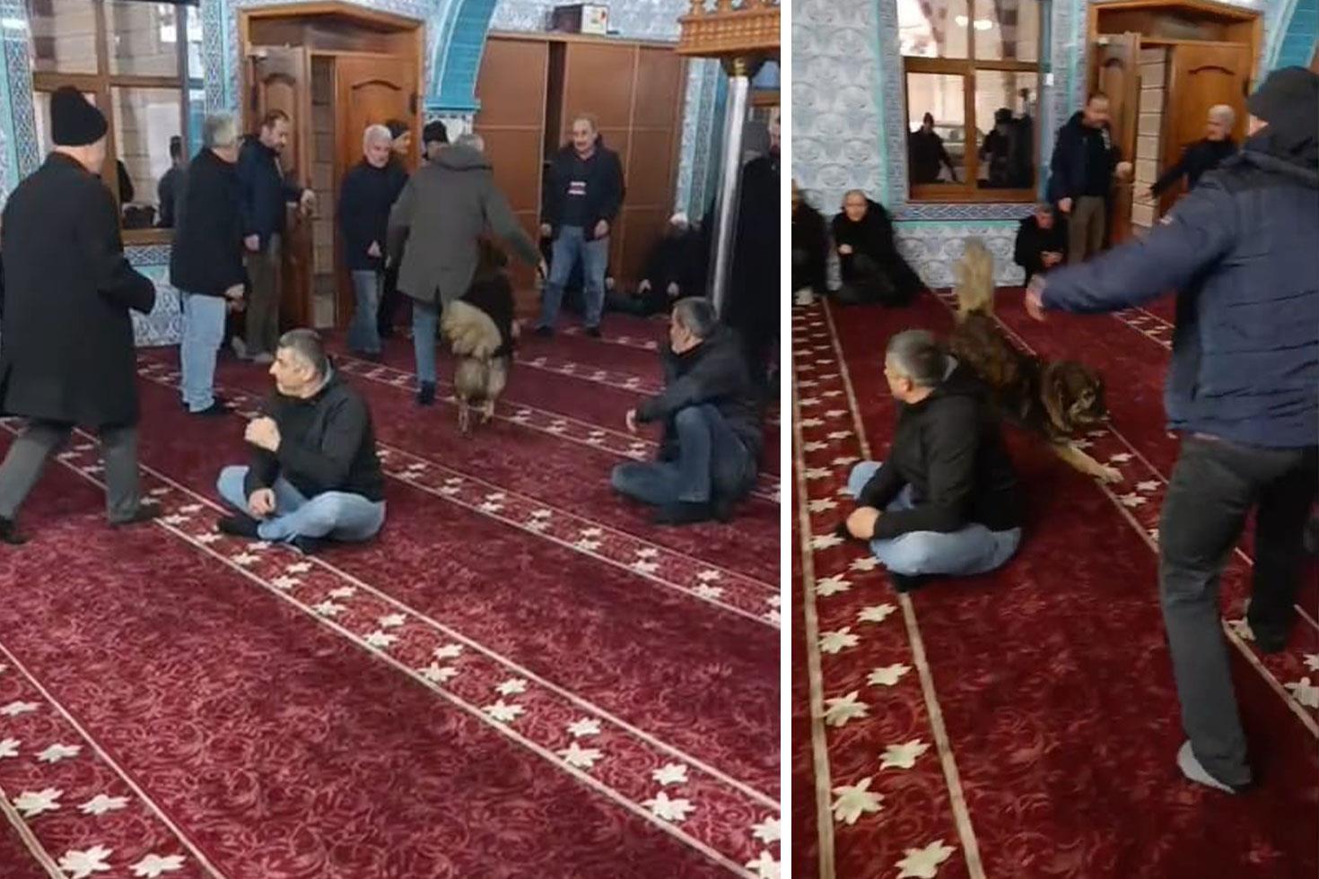 Bir anda camiye daldı Cemaatin yarısı kaçtı, yarısı kahkahaya boğuldu