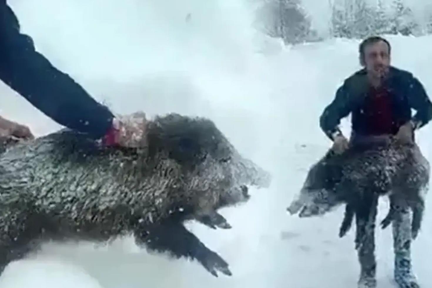 Eliyle domuz yakalayıp ceza yiyen vatandaşa güzel haber