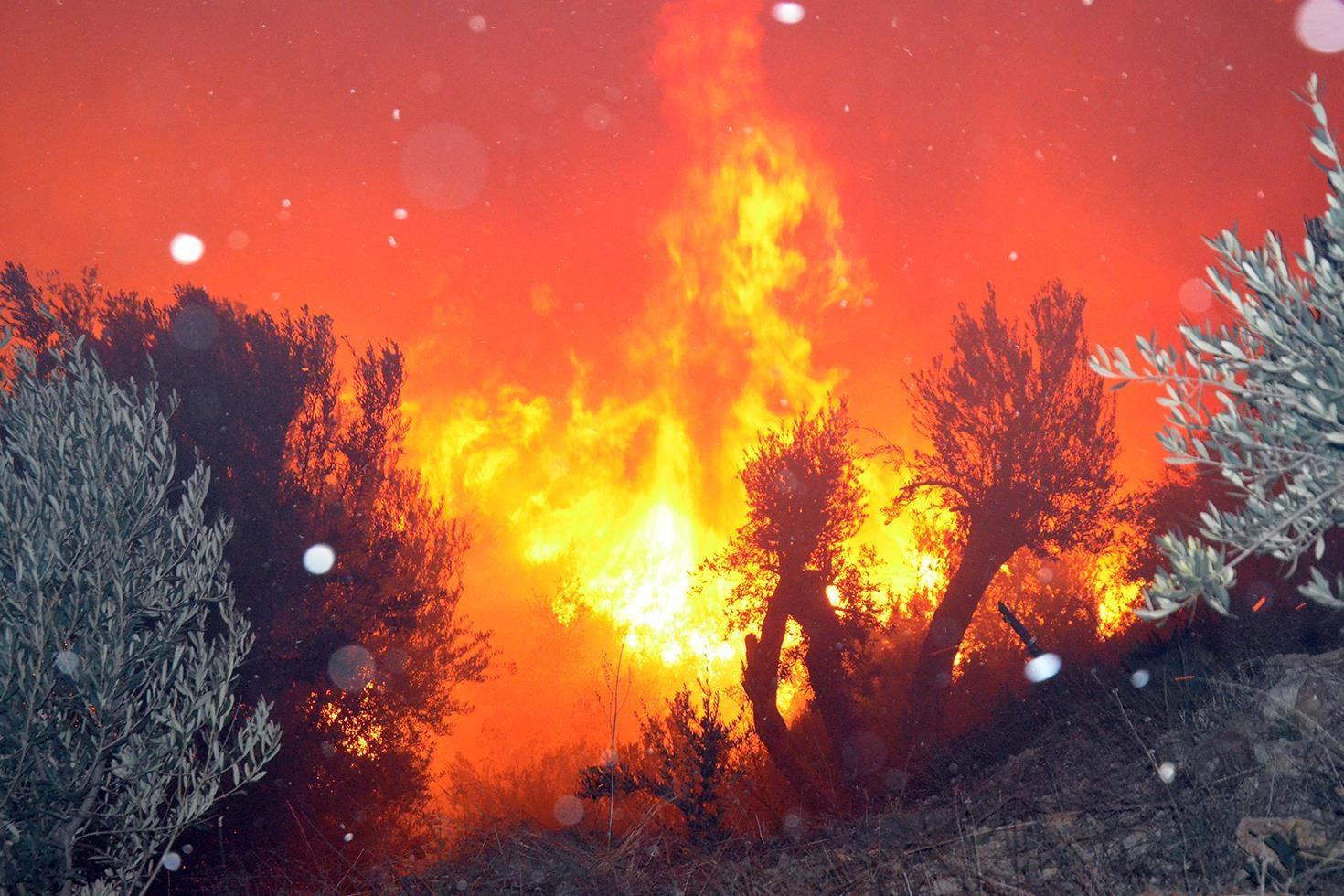 Antalya’da evleri tehdit eden orman yangını kontrol altına alındı