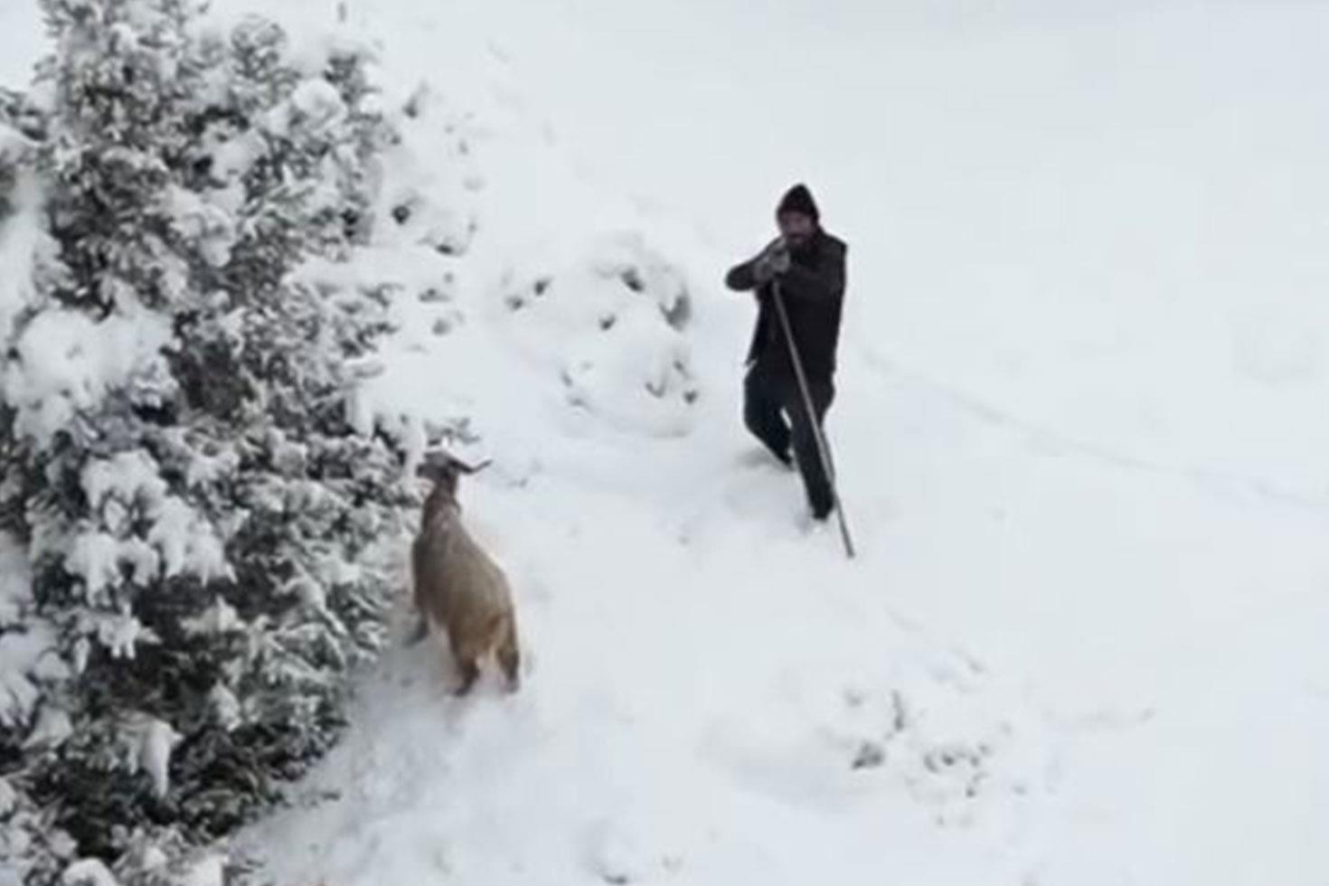Ankaralı çoban, kendisine yaklaşan drona tüfek doğrulttu