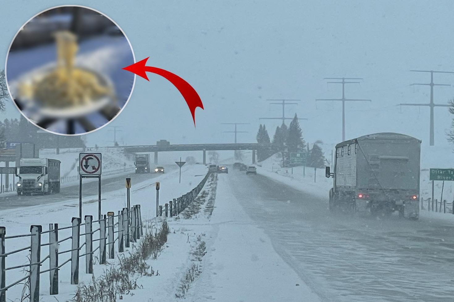 Minneapolis buz kesti Makarna bile havada dondu