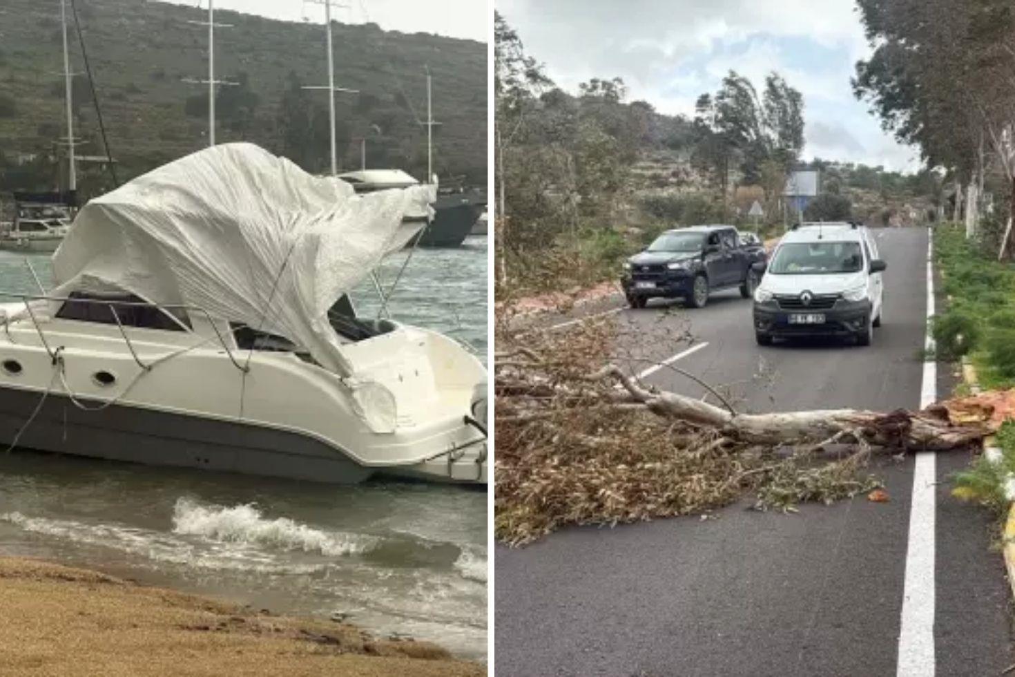 Gözde tatil beldemizi fırtına vurdu Tekne karaya oturdu, ağaçlar devrildi