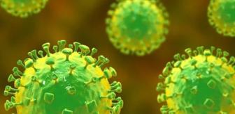 Hızla yayılan virüs için Türk uzmandan endişe veren uyarı