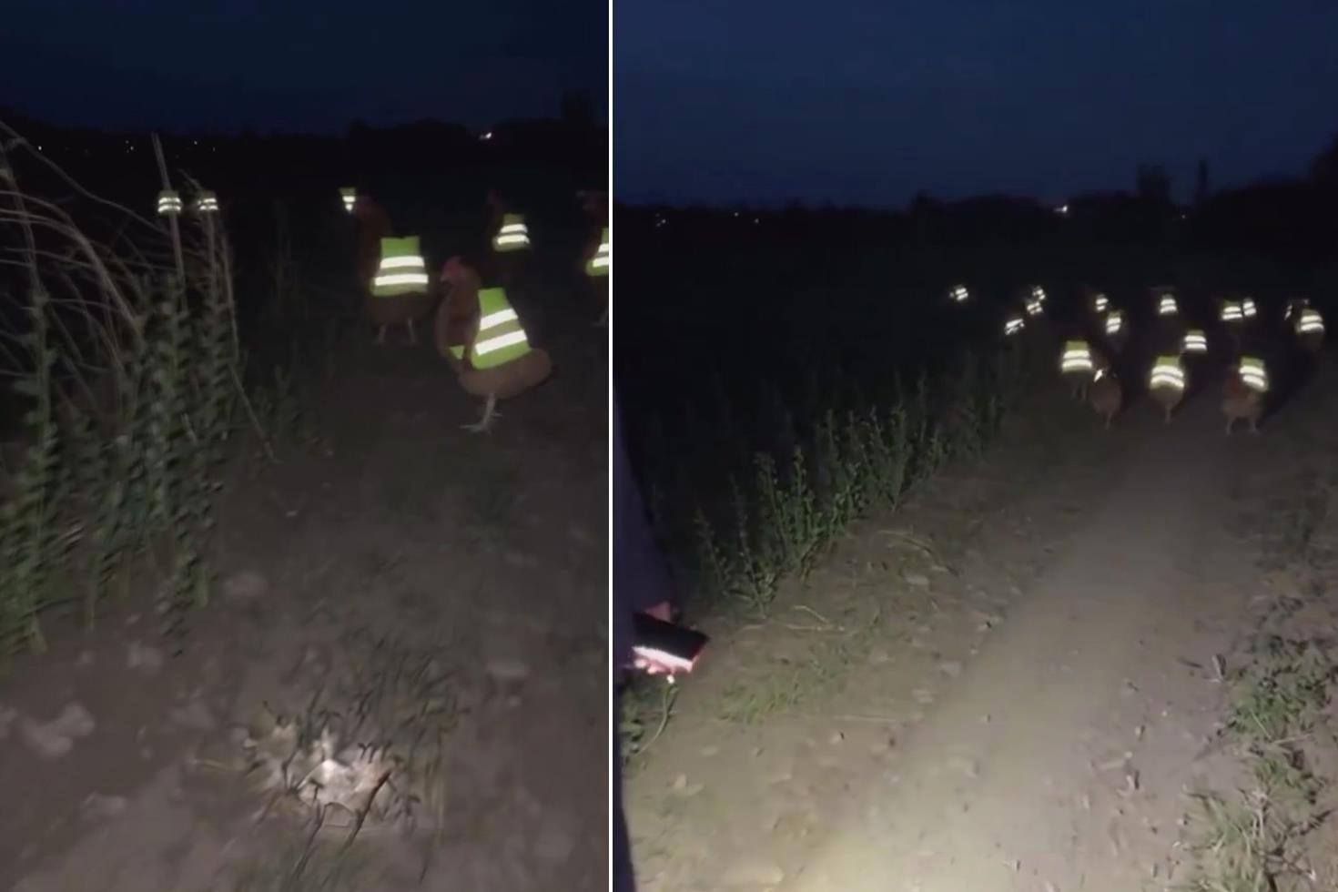 Süreli kayboluyorlardı, çareyi bu taktikte buldu