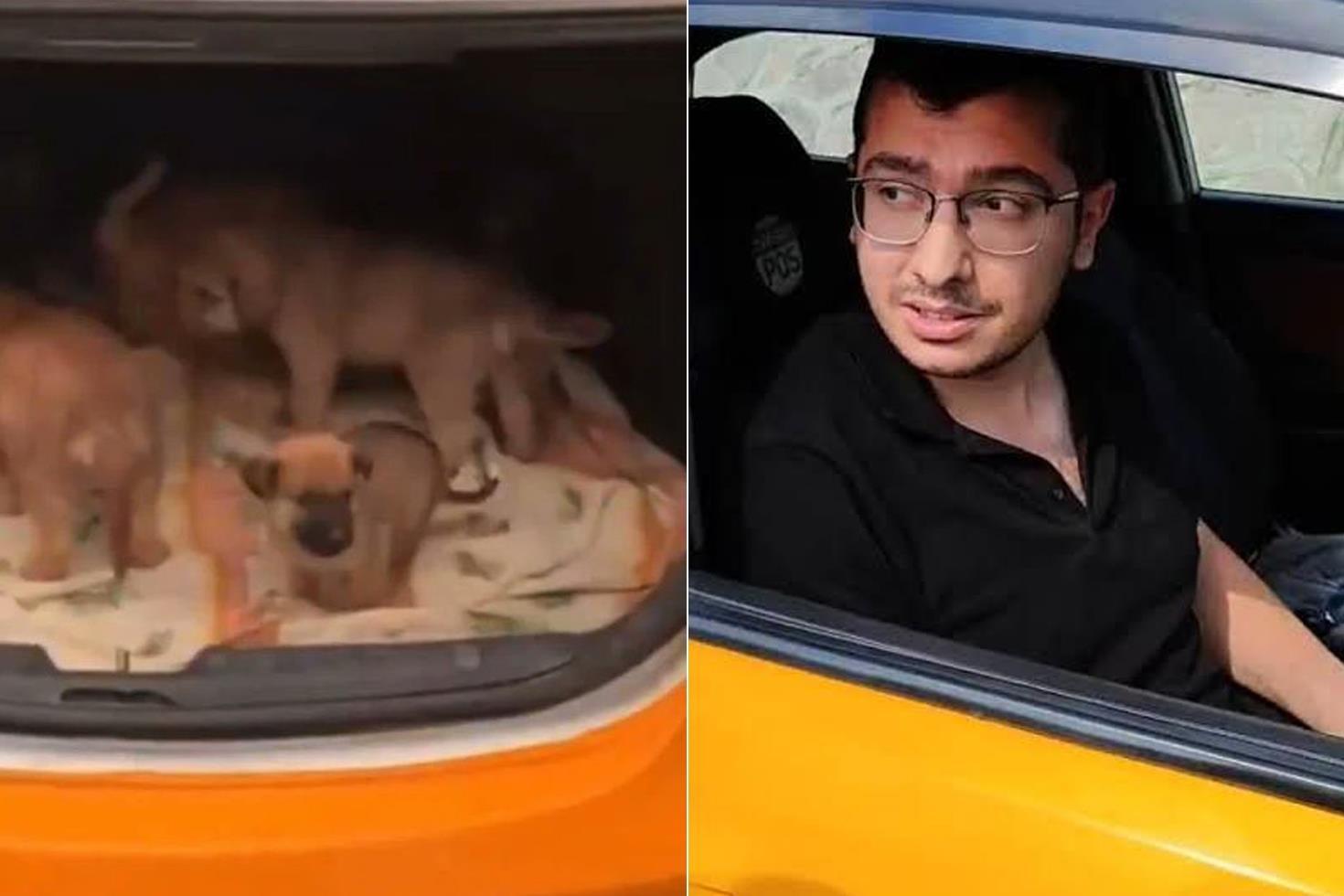 İstinaf, köpekleri istismar edip öldüren doktor hakkında verilen kararı bozdu