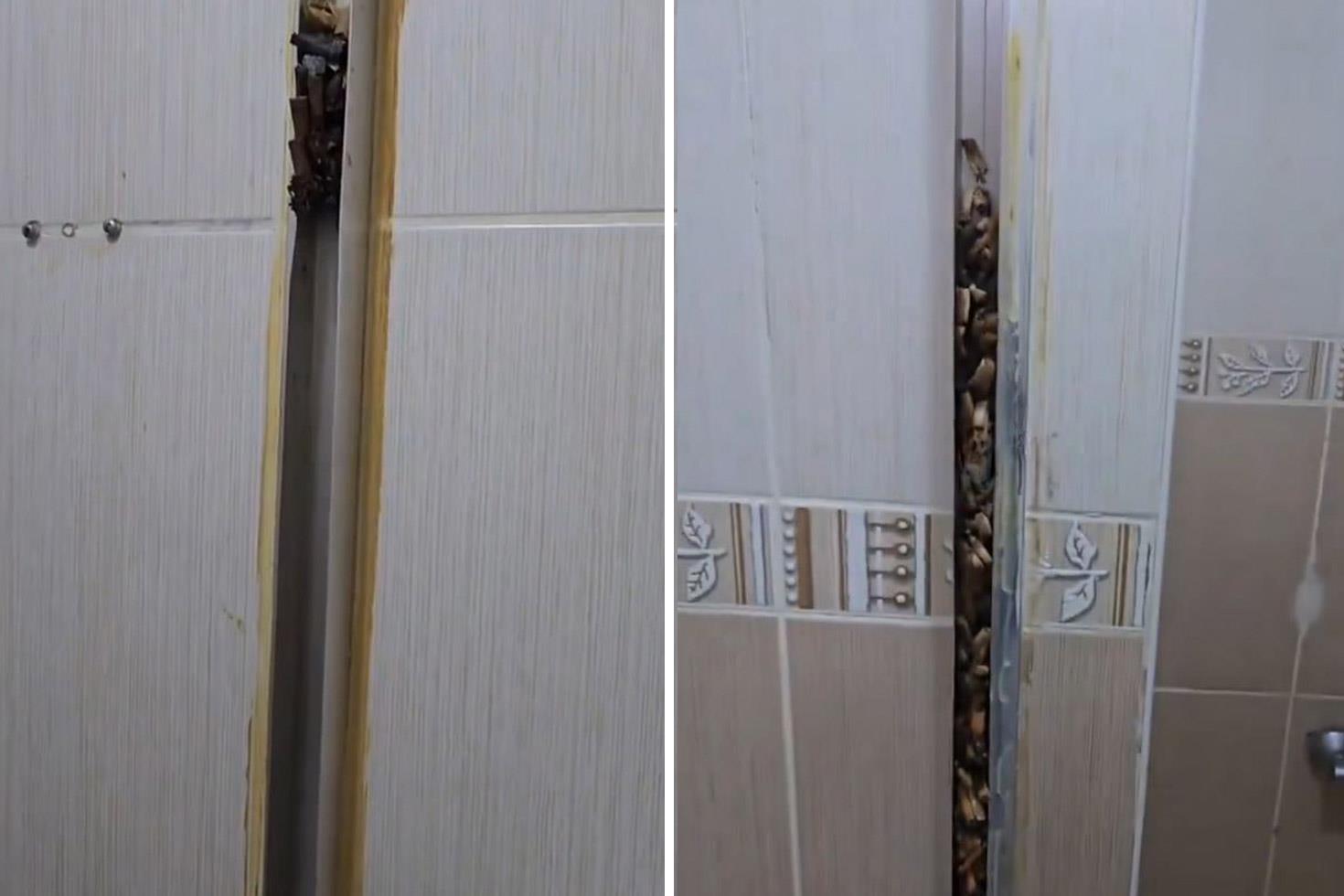 Öğrencilere kiraya verdiği eve giren kadın, gördüğü manzara karşısında sinir krizi geçirdi