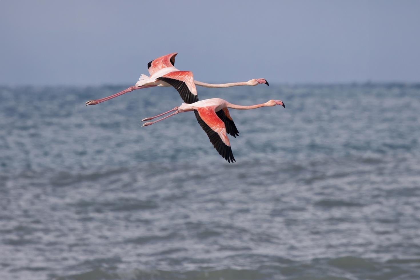 Mumbai değil Kastamonu Vatandaşlar hemen telefona sarıldı