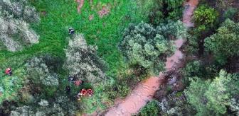 Günlerdir aranan kayıp Alzheimer hastasından acı haber