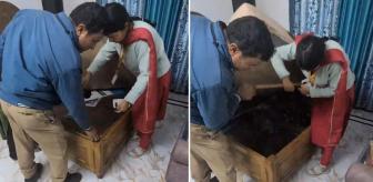 Divanın altından dram çıktı: Kapağı açan yetkililer...