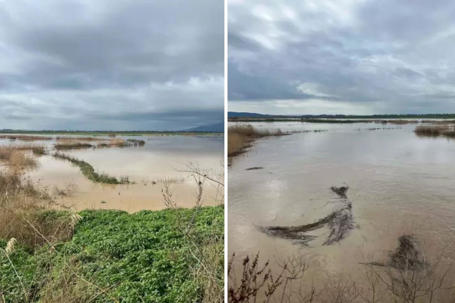 Nehir taştı, tarımın kritik ovasını su bastı