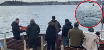 Vapurda panik anları! Görenler çığlık çığlığa bağırdı