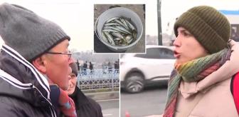 Galata'yı karıştırdı! Yaşlı adamın tuttuğu balıklara yaptığına bakın